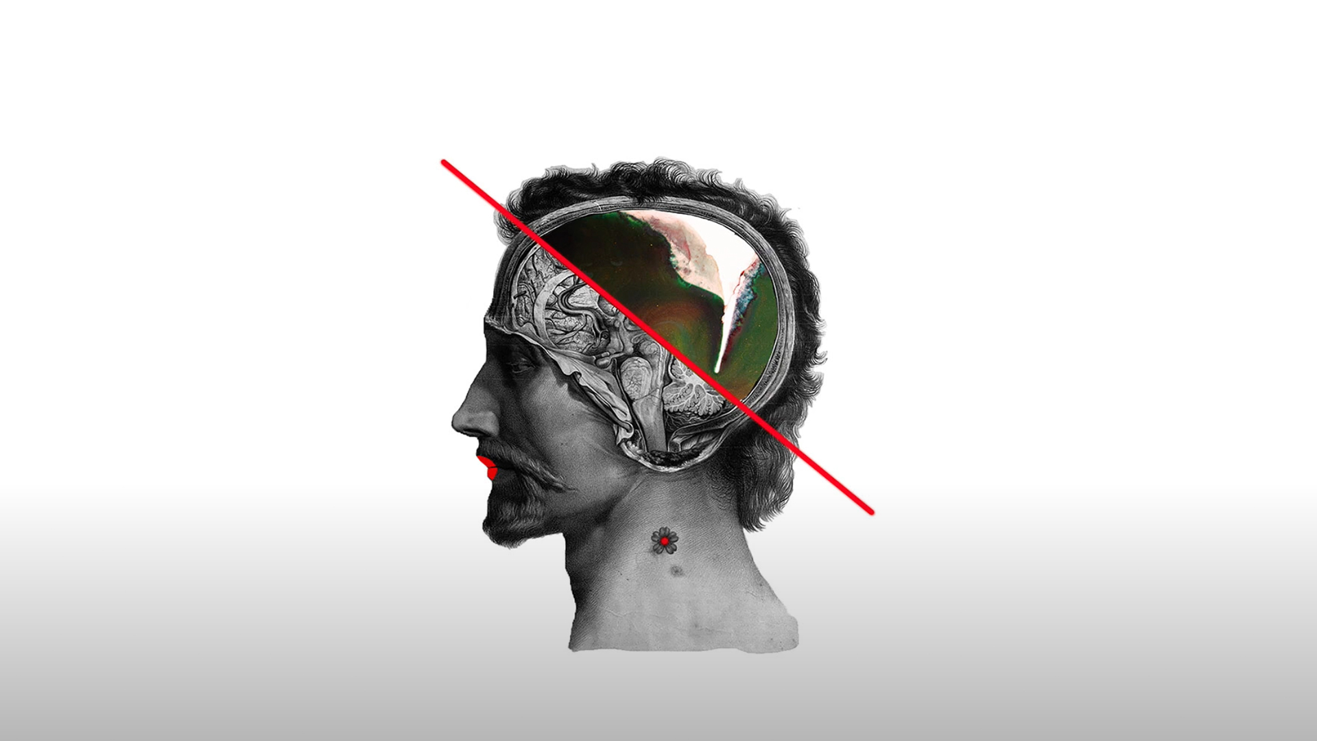 Illustration Le libre arbitre n’existe pas